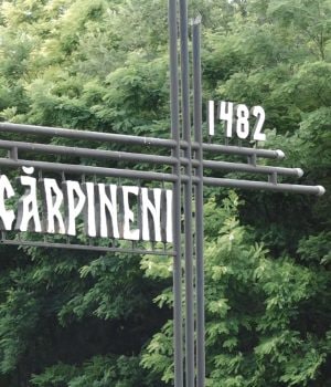 1781