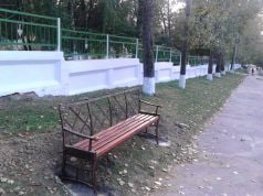 Unii locuitorii ai satului Cărpineni demonstrează că sunt „gospodari”