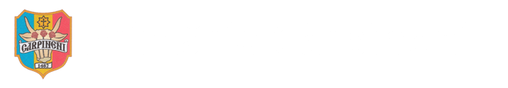 Primăria comunei Cărpineni