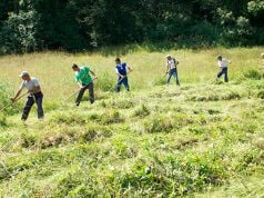 Întreprinzătorii agricoli vor trebui să țină Registrul activității desfășurată de zilieri.