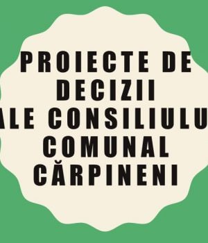 Proiecte de decizii