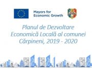 Planul de Dezvoltare Economică Locală