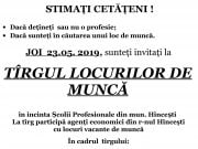 Târgul locurilor de muncă, Hâncești