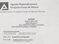 Seminar informativ „Ziua Diasporei”