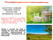 Planuri de viitor în Cărpineni