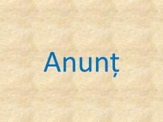 Achiziție de cărbune pentru grădinițe