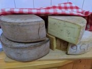 Relansarea domeniului agroalimentar în comuna Cărpineni