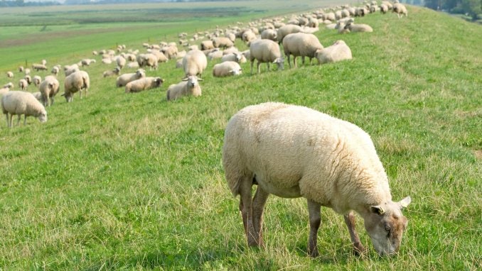 93152902_562283211063525_8621150023465304064_n