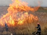 Inspecția Ecologică Hâncești despre activitatea antiincendiară și prevenirea arderii deșeurilor