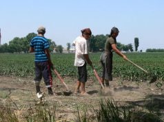 În atenţia persoanelor care desfăşoară activitate cu caracter ocazional