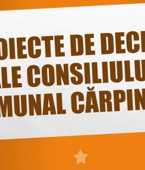 Proiecte de decizii
