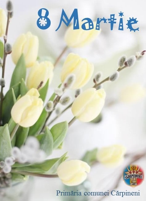 8M