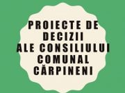 Proiectele de decizie Pentru sedinta de consiliu Extraordinar din 24 decembrie 2024