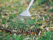 Regulamentul cu privire la salubrizarea teritoriului și menținerea ordinii sanitaro-ecologice în comuna Cărpineni